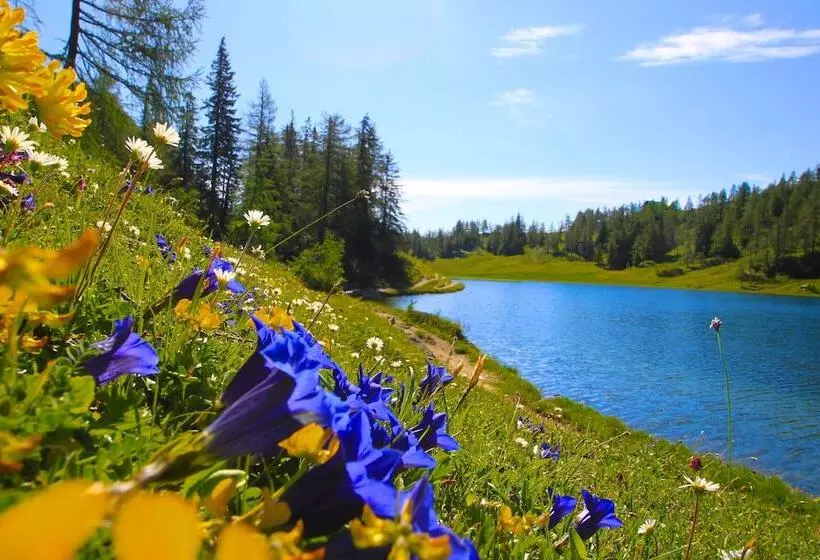 בית מלון כפרי Appartements Restaurant Schwaiger