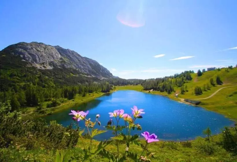 בית מלון כפרי Appartements Restaurant Schwaiger