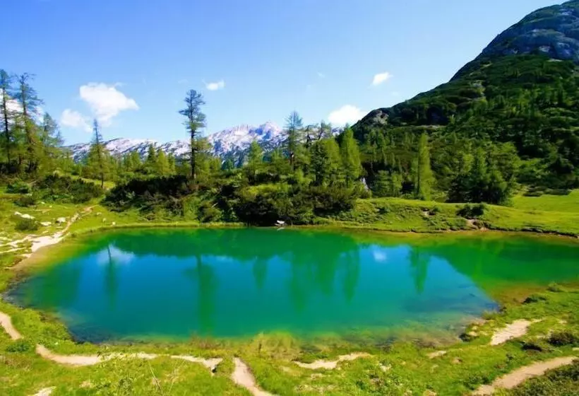 בית מלון כפרי Appartements Restaurant Schwaiger