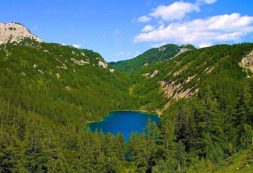 فندق Appartements Restaurant Schwaiger