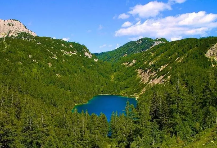 בית מלון כפרי Appartements Restaurant Schwaiger