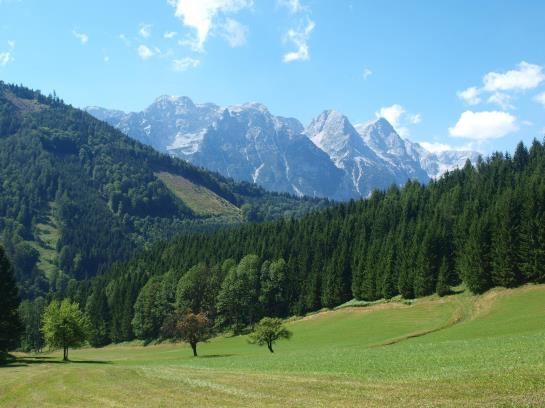 Bauernhof Buchebnerreith