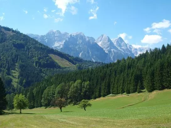 Bauernhof Buchebnerreith