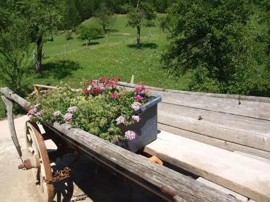 Bauernhof Buchebnerreith