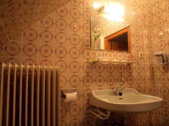 Bauernhof Buchebnerreith