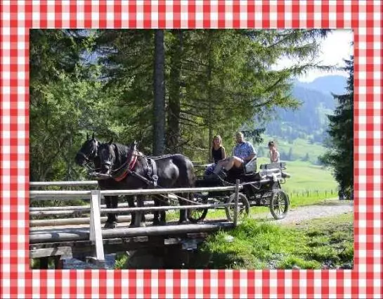 Aamiaismajoitus (B&B) Ferienpension Christl