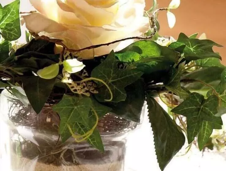 ホテル Haus Gerlinde