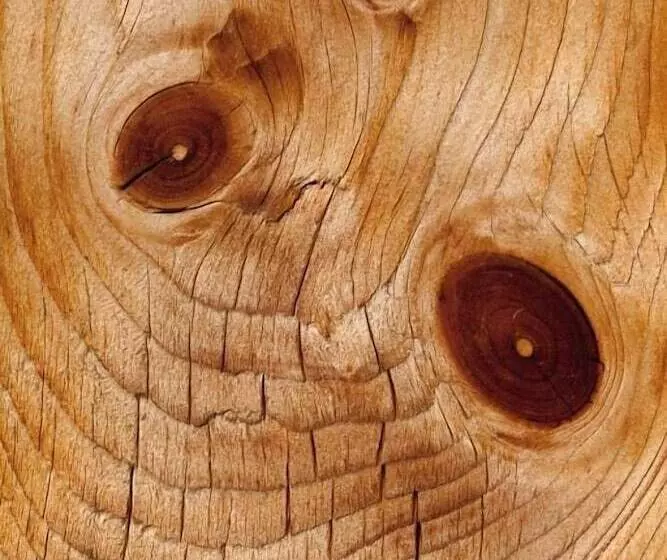 ホテル Haus Gerlinde