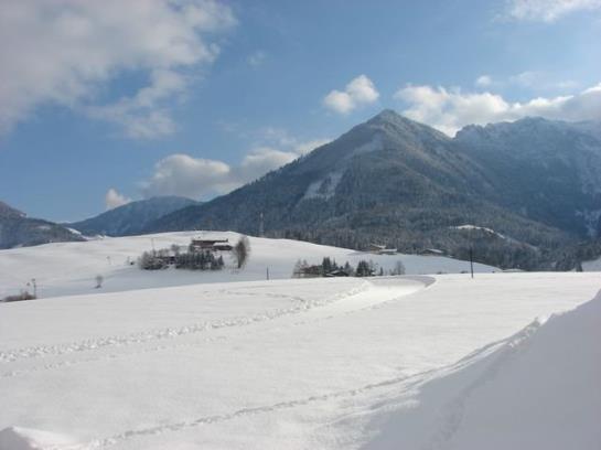 住宿加早餐  Holzner Pension