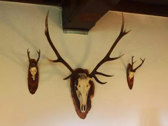 Ausflugshotel Huttersberg