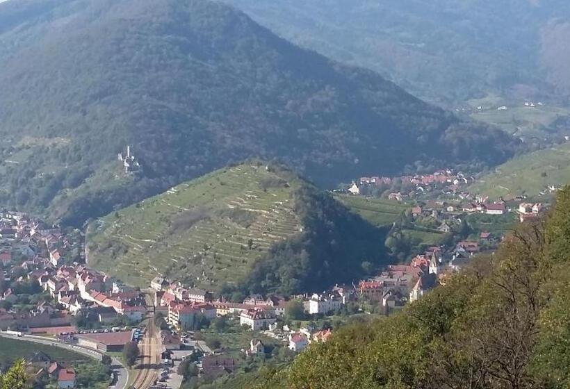 בית מלון כפרי Lugerfarm