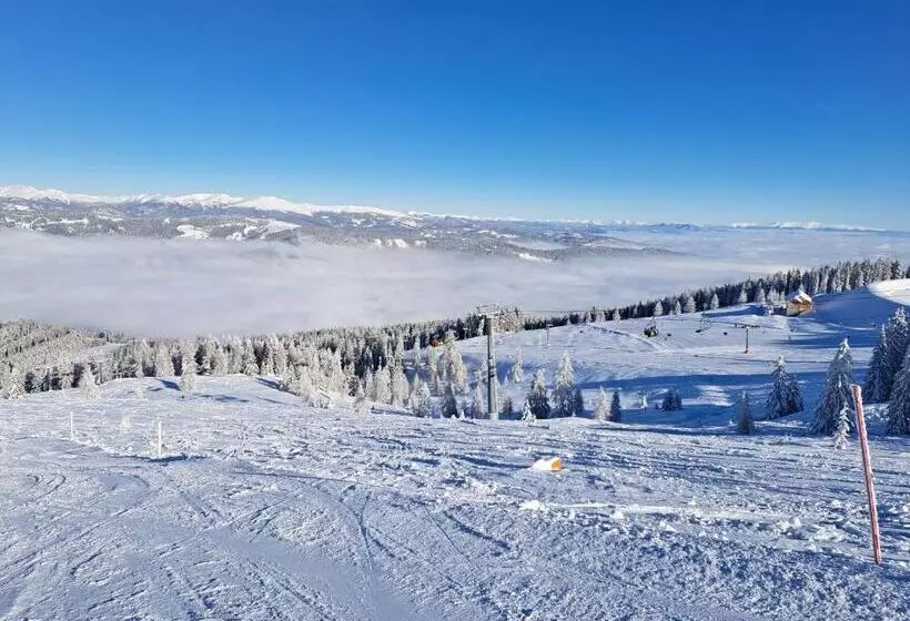 Отель Pension Fischinger