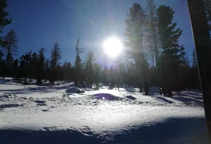 Отель Pension Fischinger