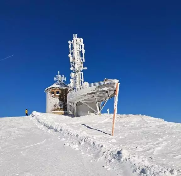 Отель Pension Fischinger