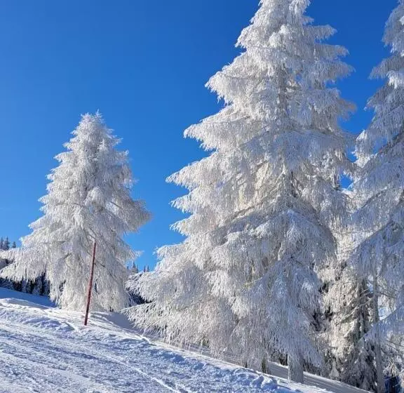 Отель Pension Fischinger