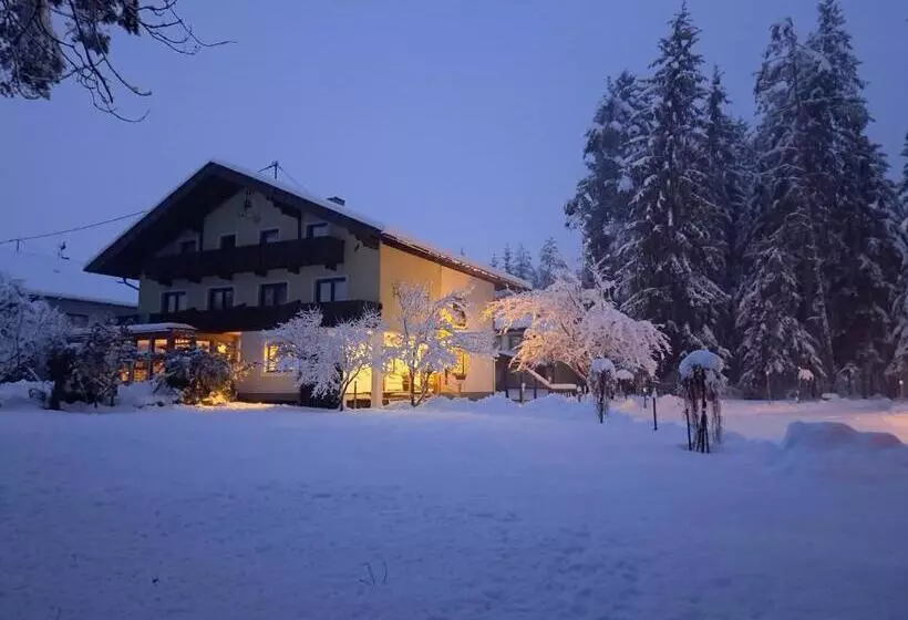 Отель Pension Fischinger