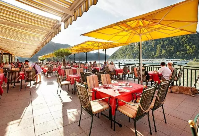 Отель Riverresort Donauschlinge