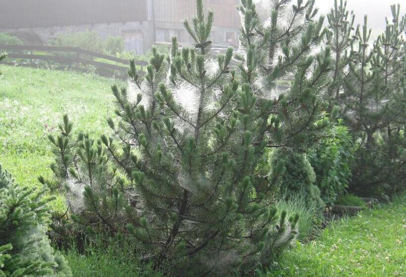 Отель Am Triendlhof