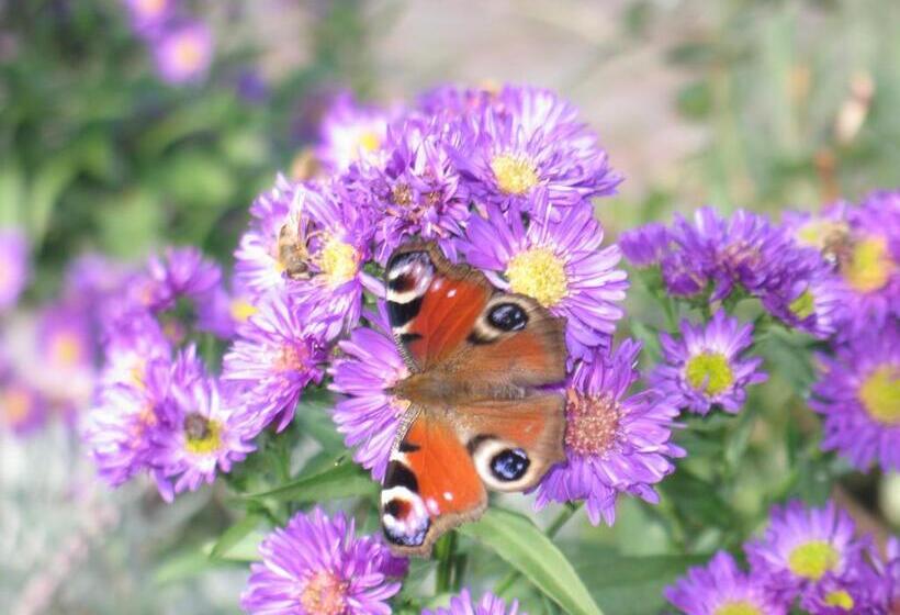 Отель Am Triendlhof