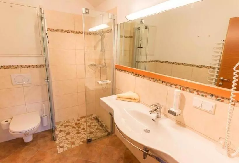 Отель Weissenstein