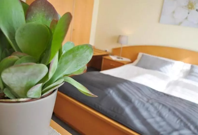 ペンション Gästehaus Hofer