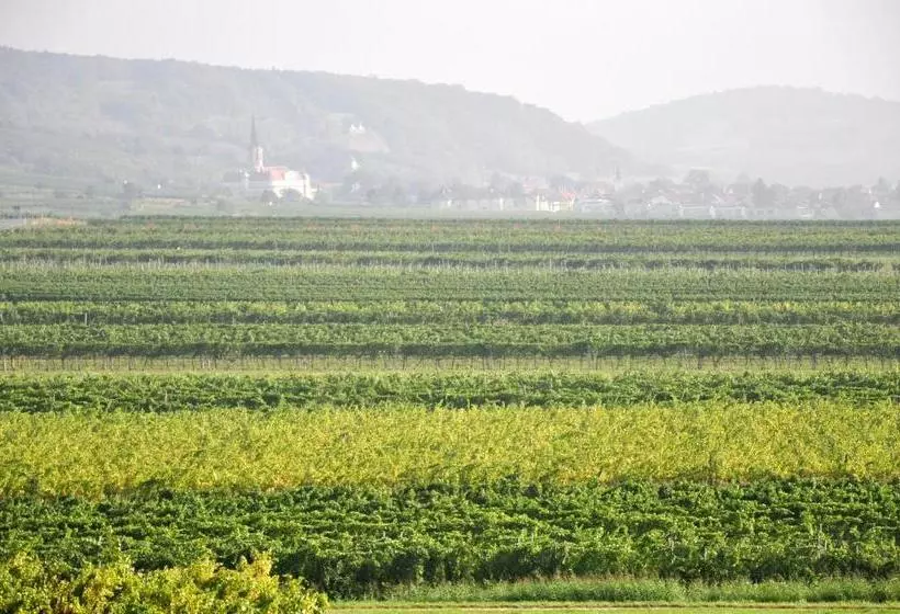 ペンション Gästehaus Hofer