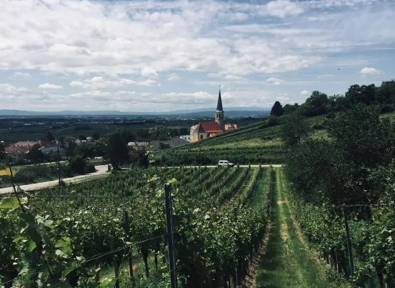 ペンション Gästehaus Hofer