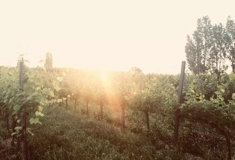 ペンション Gästehaus Hofer