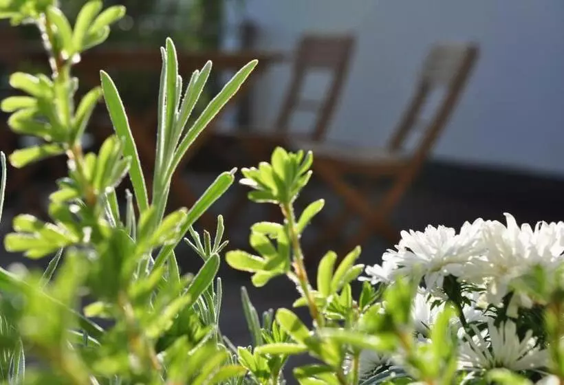 ペンション Gästehaus Hofer