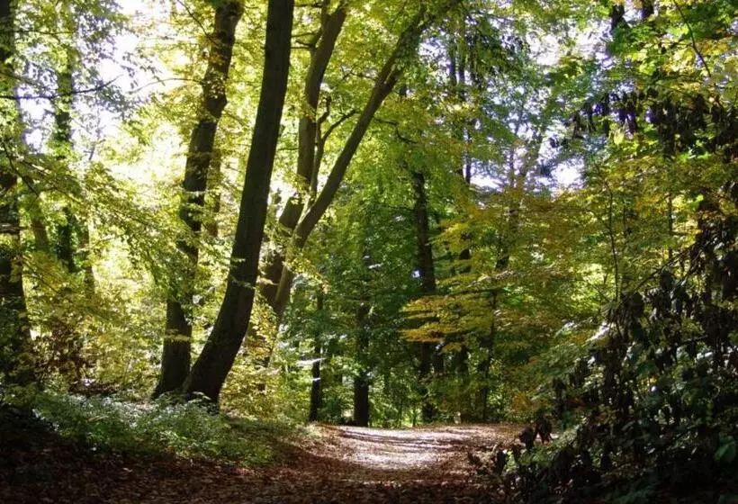 펜션 Landgasthof Spitzerwirt