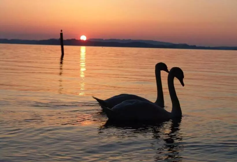 펜션 Landgasthof Spitzerwirt