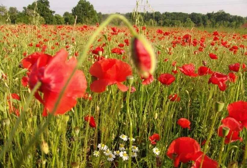 펜션 Landgasthof Spitzerwirt