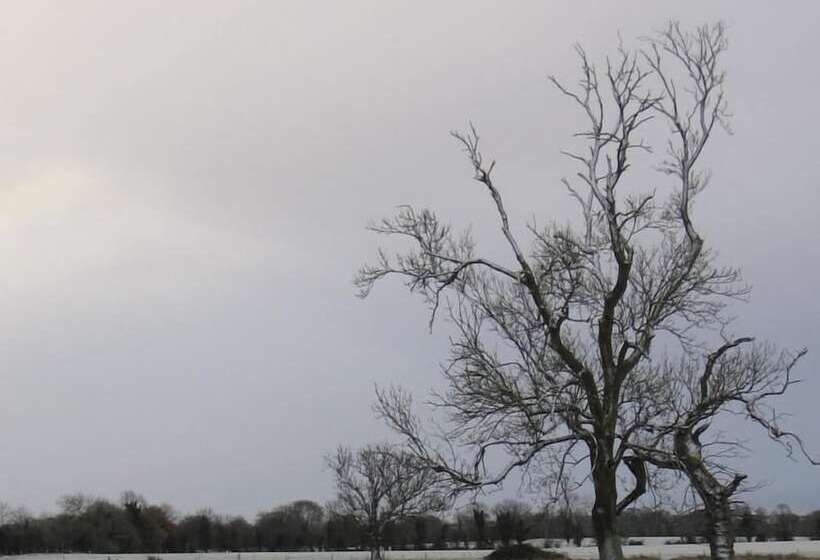 住宿加早餐 Annaharvey Farm