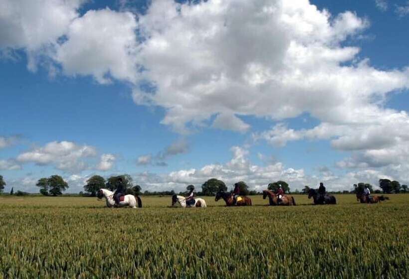 住宿加早餐 Annaharvey Farm