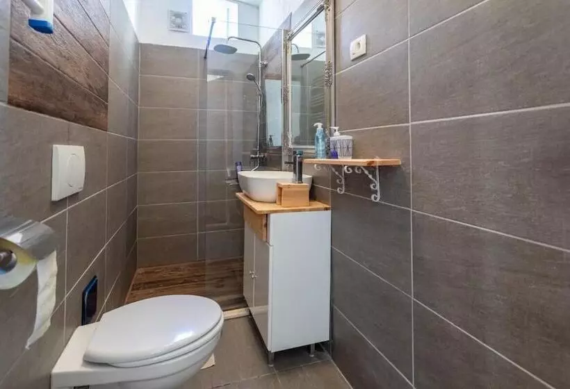 Spacious Deluxe Room   Hotel Rose