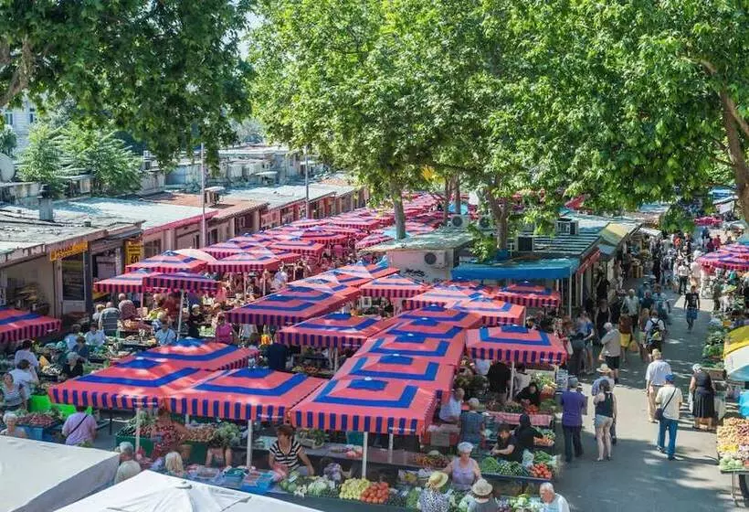 Spacious Deluxe Room   Hotel Rose