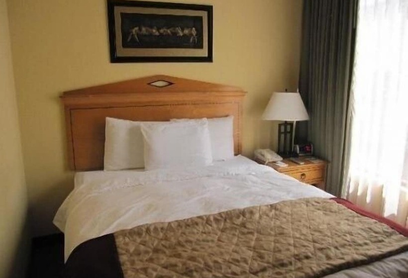 Yellowstone Mountain Cabins