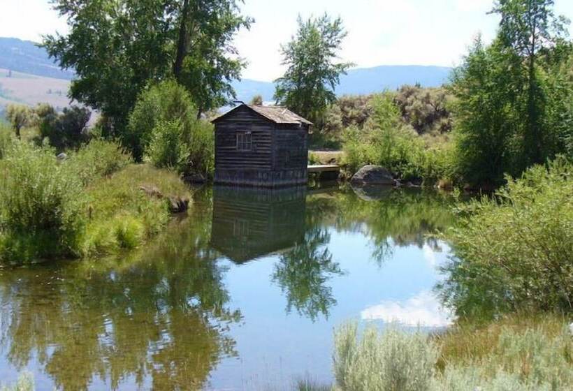 Yellowstone Mountain Cabins