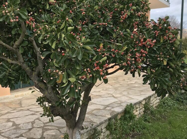 Banos Apartments And Swimming  Pool