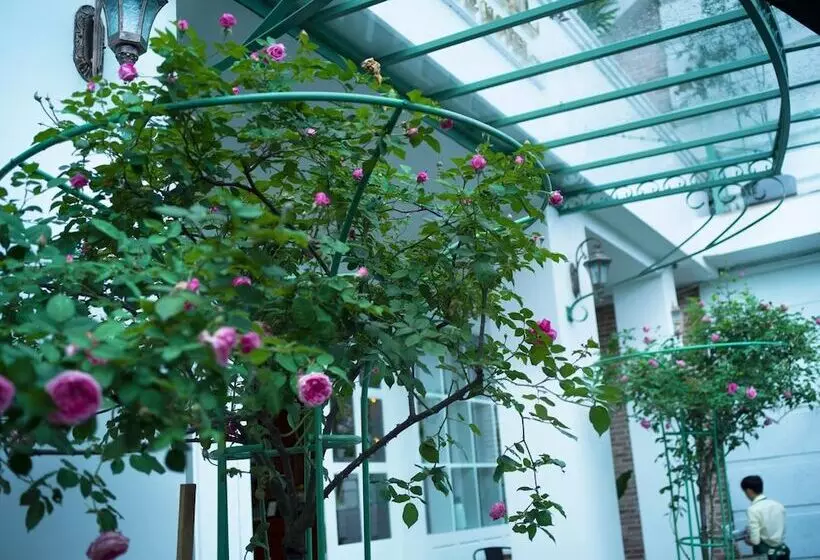 Le Soleil Boutique Hotel Dalat