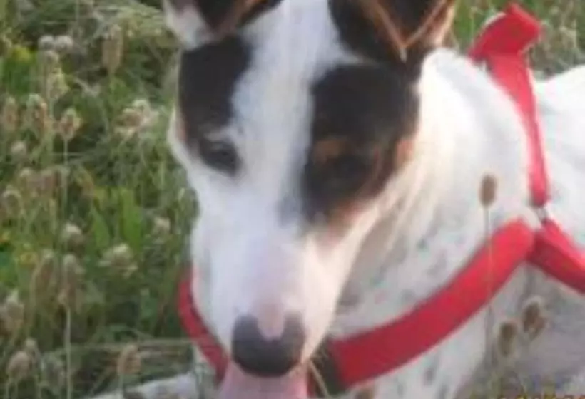 پانسیون Room In Guest Room   Merzuq House   Deluxe Double Room With Shower