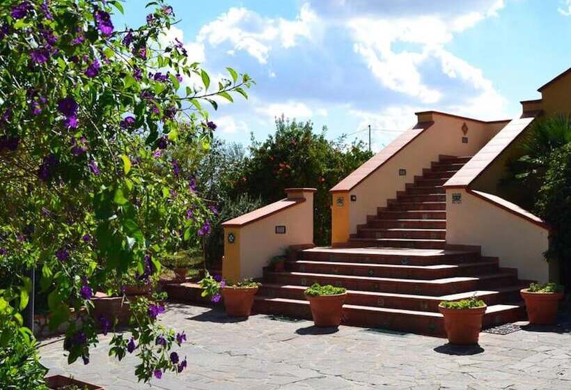 Bed and Breakfast Suite Glicine Bb S Elia