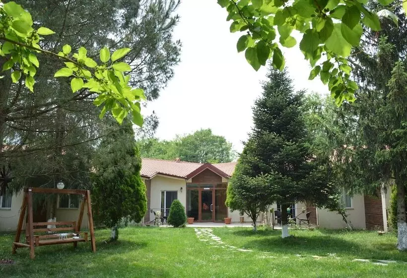 ホテル Alex Village Life