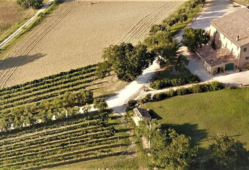 בית מלון כפרי Ancient Farmhouse With Winery Xiv Century