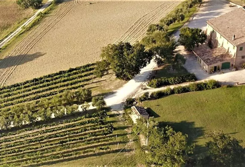 Hotelli Ancient Farmhouse With Winery Xiv Century