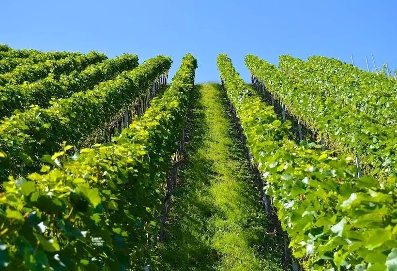 Hotelli Ancient Farmhouse With Winery Xiv Century