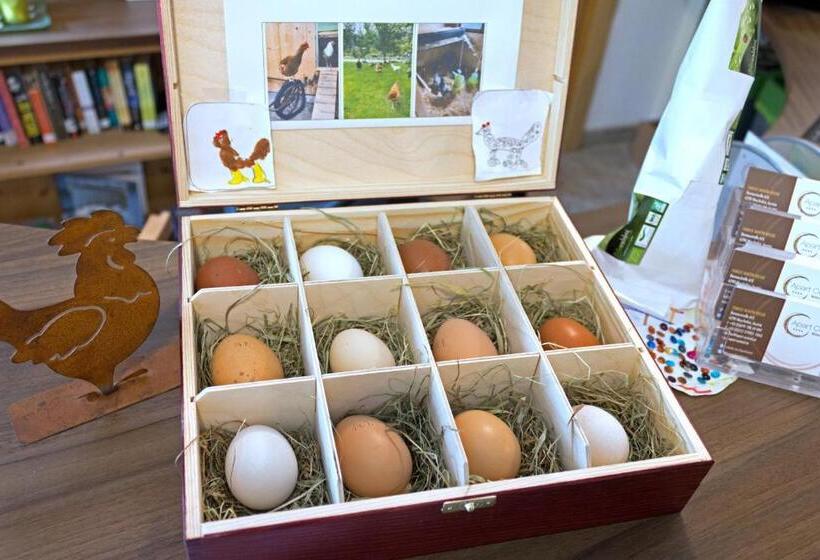 Apart Central – Premium Mountain&garden