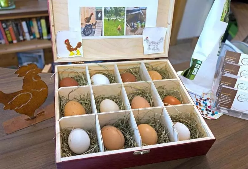 Apart Central – Premium Mountain&garden