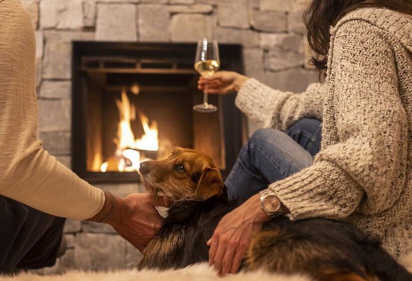 Bed and Breakfast Alpin Residenz Dachsteinperle