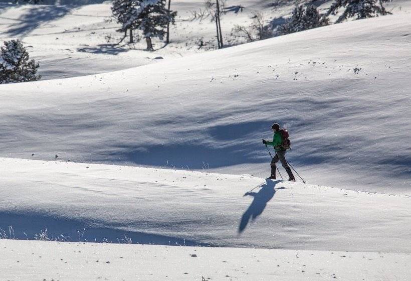 Bed and Breakfast Alpin Residenz Dachsteinperle